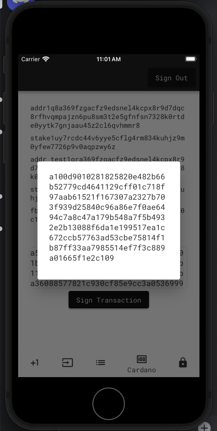 Transaction Signature a100