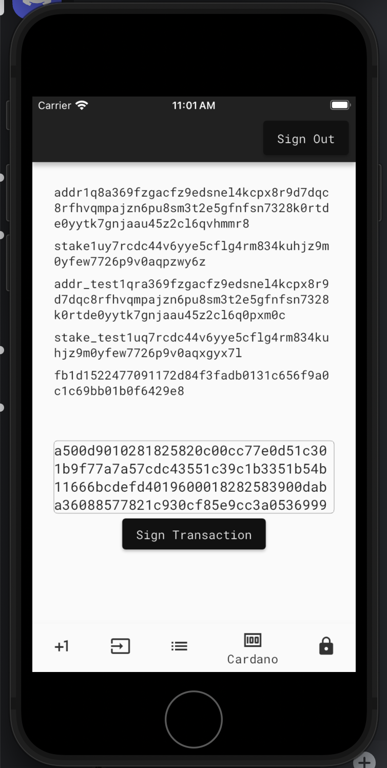 Transaction Body Hex a500