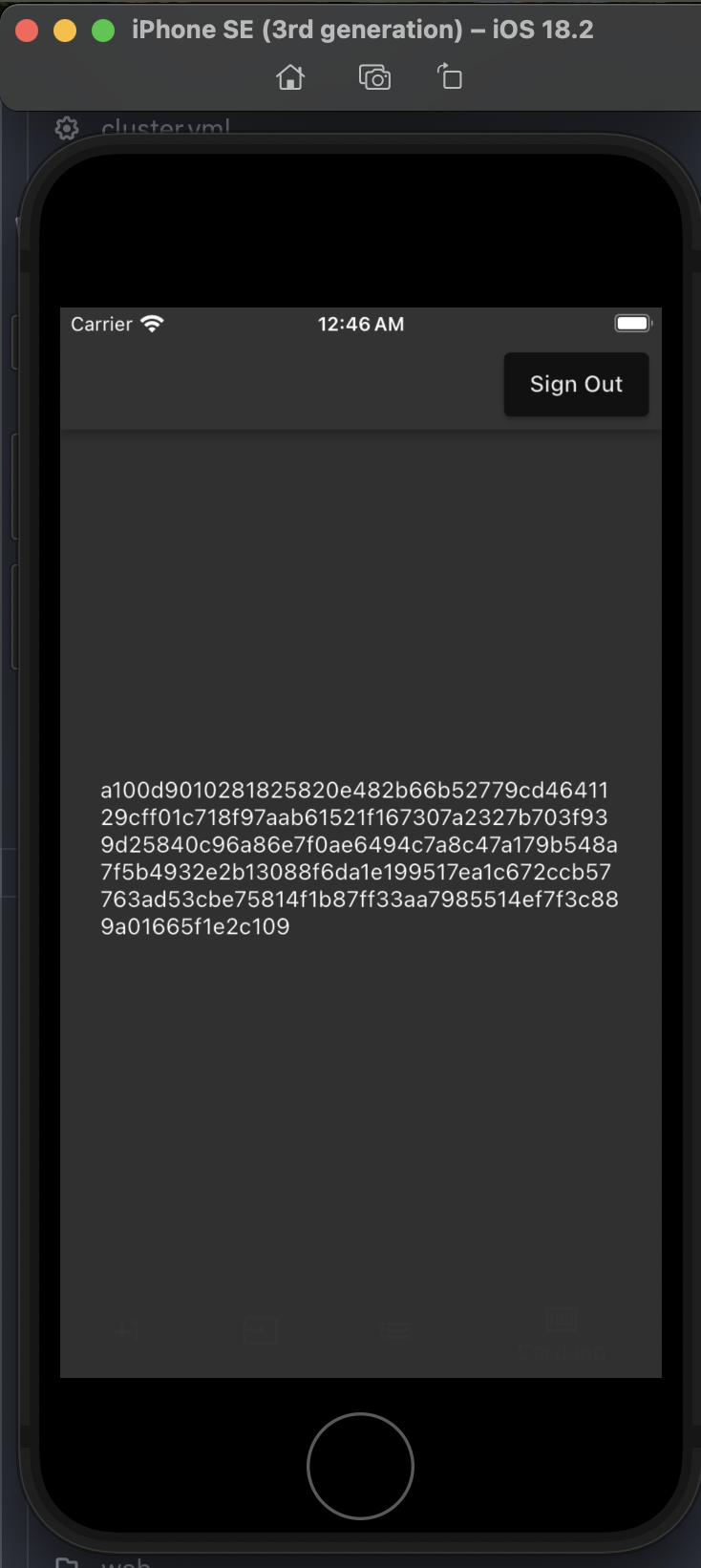 Apple IOS Simulator